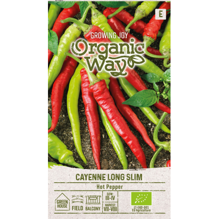 Pimenta Caiena Long Slim - Sementes