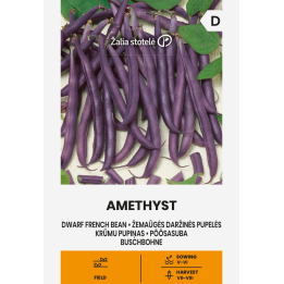 Feijão anão Amethyst - Sementes