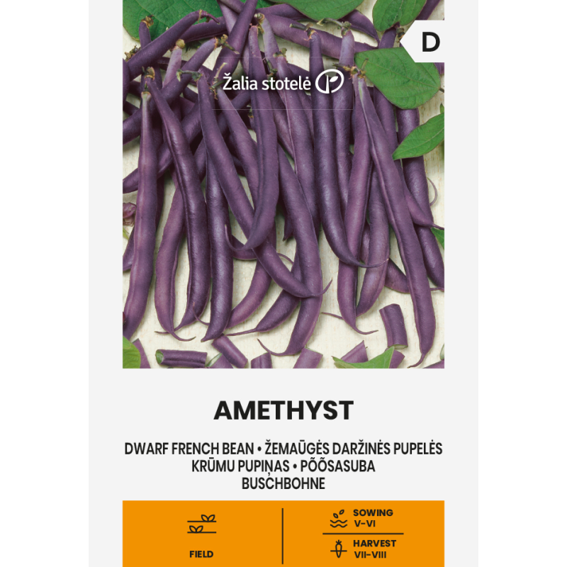Feijão anão Amethyst - Sementes