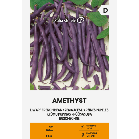 Feijão anão Amethyst - Sementes