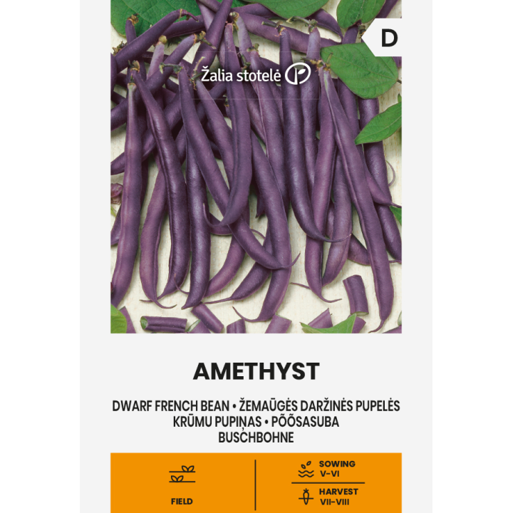 Feijão anão Amethyst - Sementes