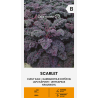 Couve frisada Scarlet - Sementes