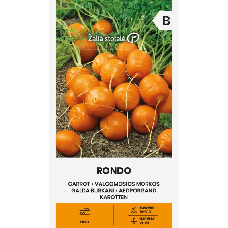 Cenoura Rondo - Sementes