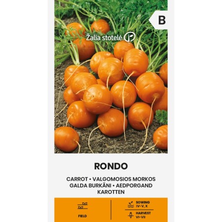 Cenoura Rondo - Sementes
