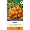 Cenoura Rondo - Sementes