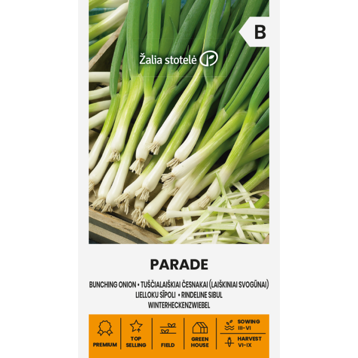 Cebola de primavera Parade - Sementes