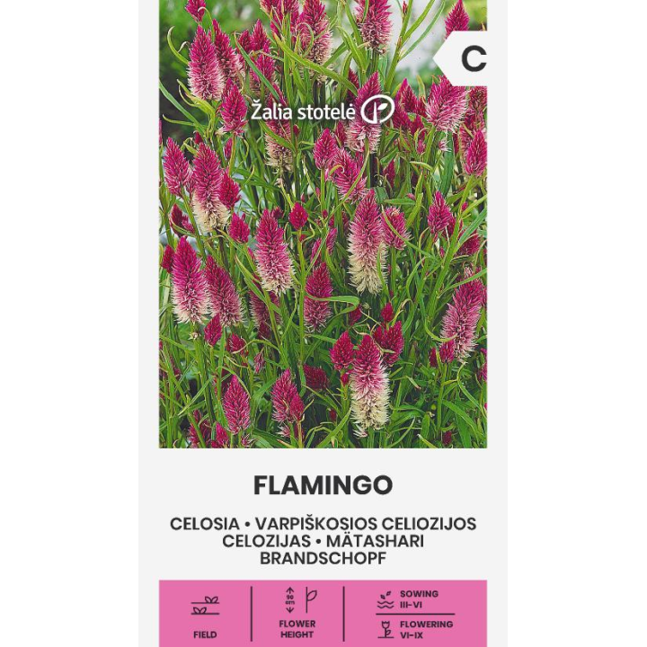 Celosía Flamingo - Sementes