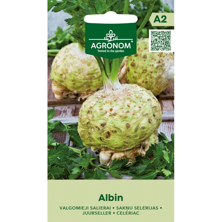 Aipo-rábano Albin - Sementes