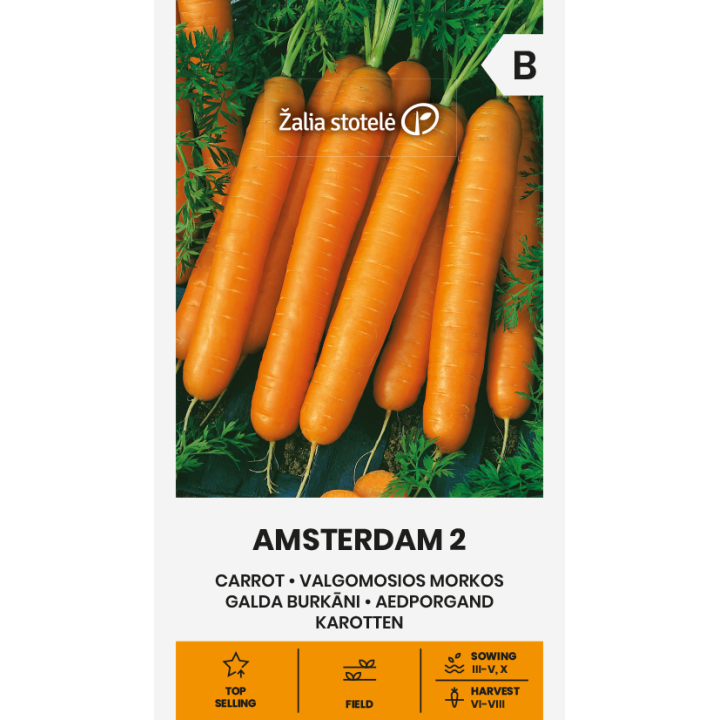 Cenoura Amsterdam 2 - Sementes