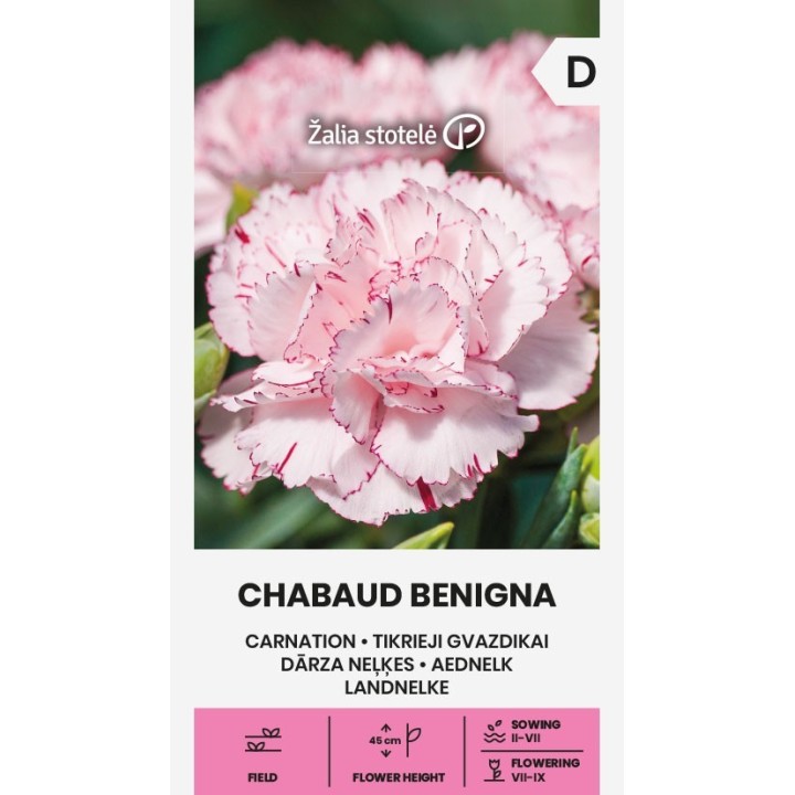 Cravo Chabaud Benigna - Sementes