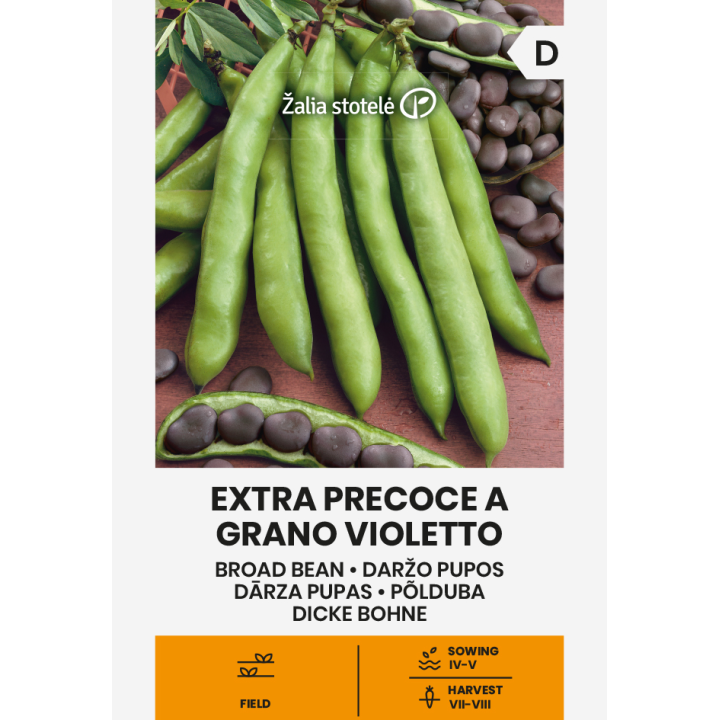 Feijão Larga Extra Precoce Violetto - Sementes