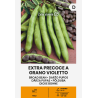 Feijão Larga Extra Precoce Violetto - Sementes