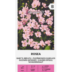 Paniculada rosa - Sementes
