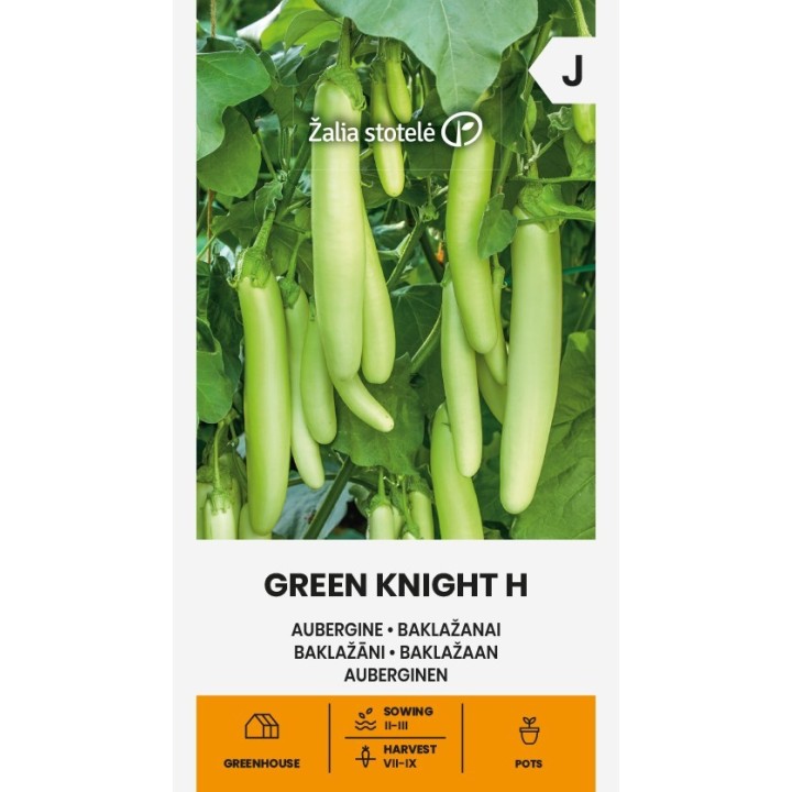 Berinjela Green Knight H - Sementes