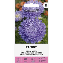 Áster da China azul claro - Sementes