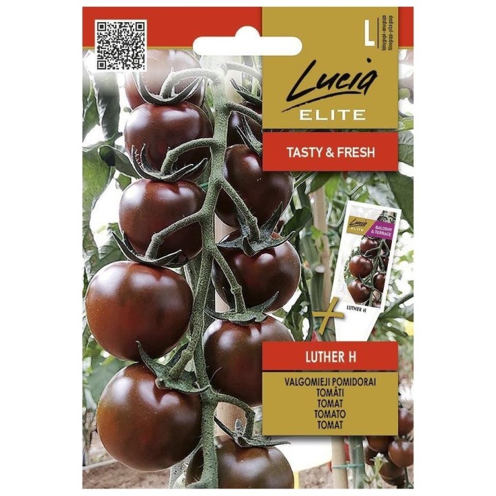 Tomate, Luther H - Sementes