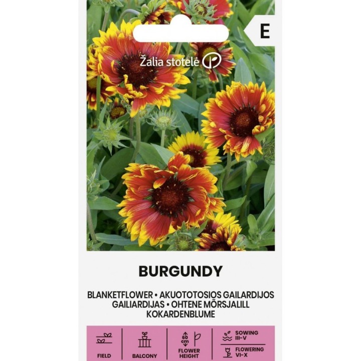 Sementes de Gaillardia pulchella 'Rodas de Fogo' | Loja de sementes