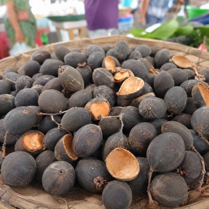 Tamarindo-aveludado - Sementes