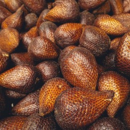 Salak - Sementes