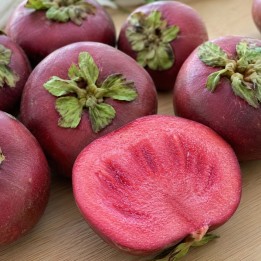 Sapote-vermelho - Sementes