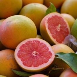 Toranja-gigante - Sementes