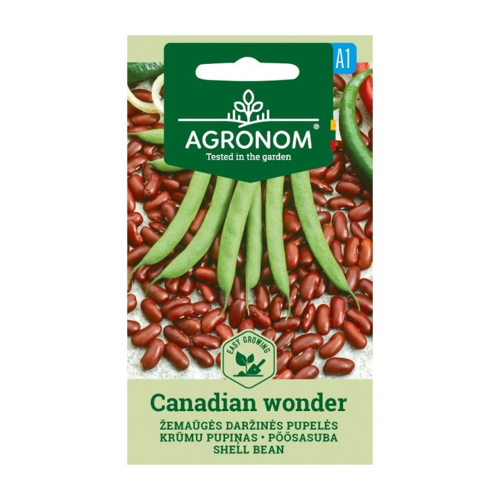 Feijão-anão Canadian Wonder - Sementes