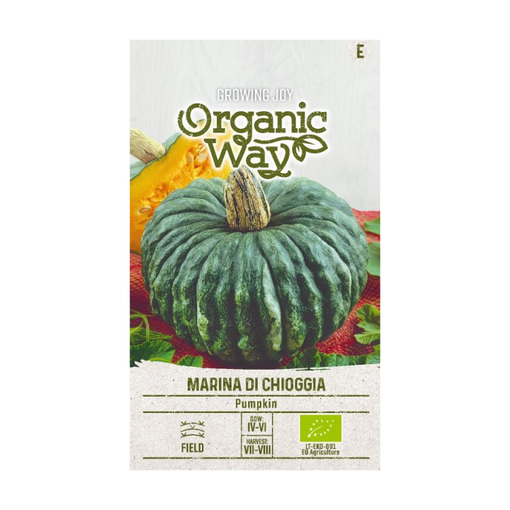 Abóbora Marina di Chioggia - Sementes