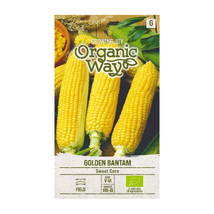 Milho doce Golden Bantam (Bio) - Sementes