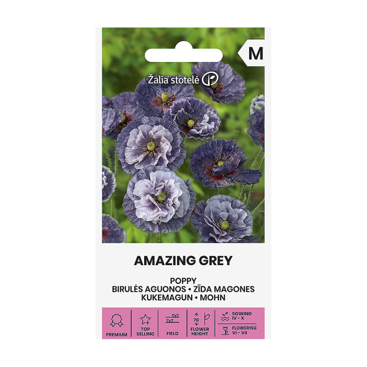 Papoila, Amazing grey - Sementes