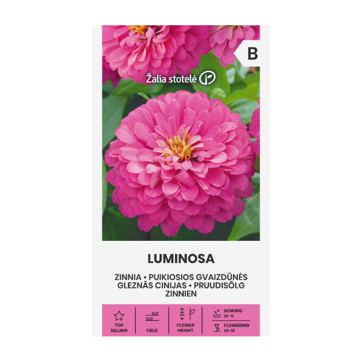 Zínia, Luminosa - Sementes