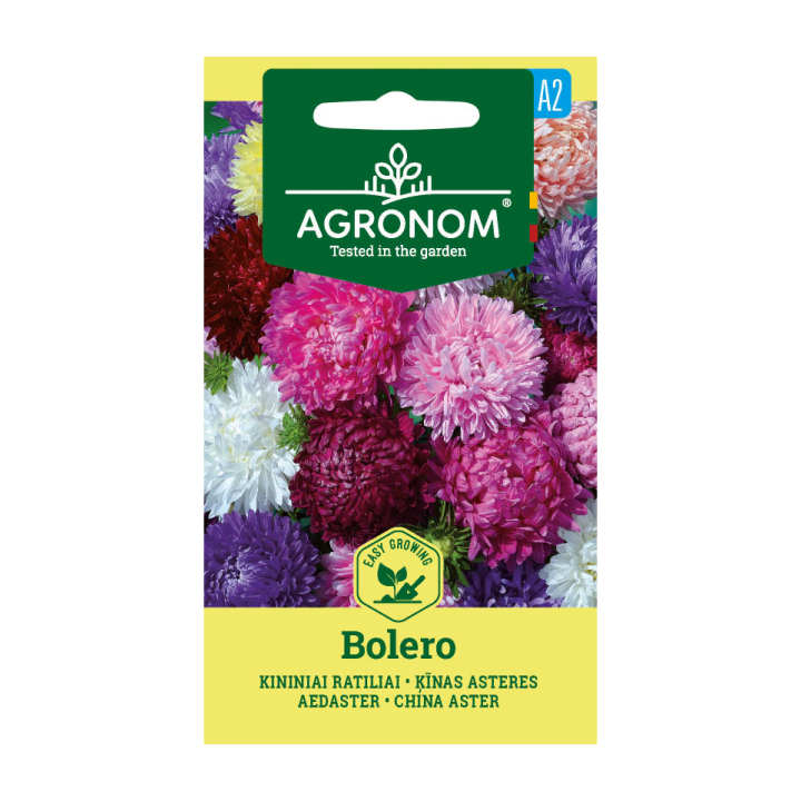 Áster da China, Bolero - Sementes