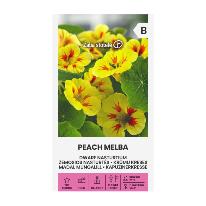 Chagas, Peach Melba - Sementes