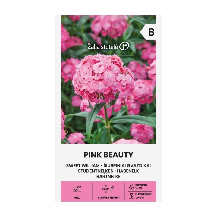 Cravo-de-poeta, Pink beauty - Sementes