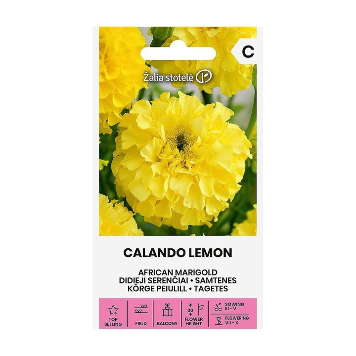 Tagetes, Calando lemon - Sementes