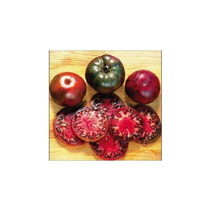 Tomate 'Black Krim'