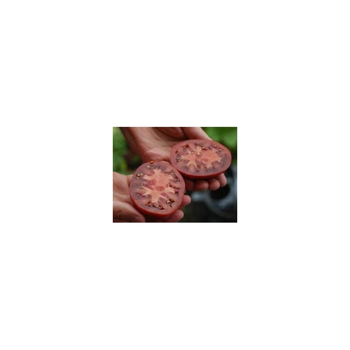 Tomate 'Black Krim'