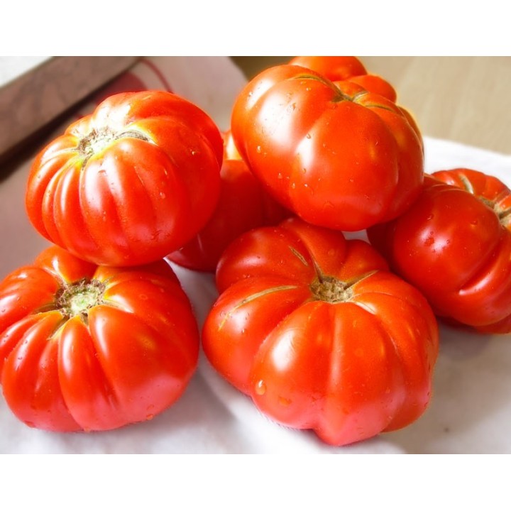 Tomate 'Costoluto Fiorentino' - Sobre 25 semillas