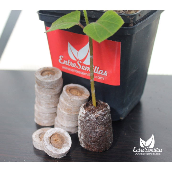 jiffy peat pellets peles para semear discos de 44 mm