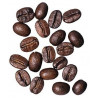 Café / Cafeto arábigo - Sobre 8 semillas