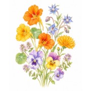 Flores comestíveis