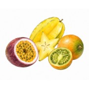 Fruta tropical