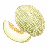 Melões