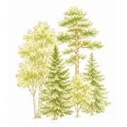 Árvores