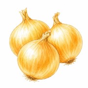 Cebolas